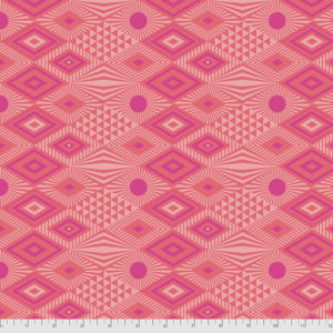 By 1/2 Yard ~ Free Spirit Tula Pink Fabric Slow & Steady Clear Skies Strawberry