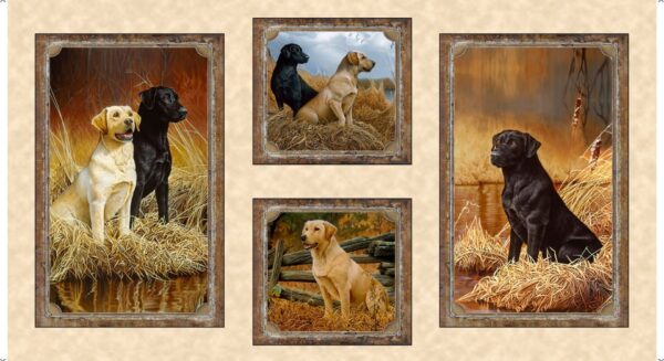 Loyal, Loveable Labs Panel