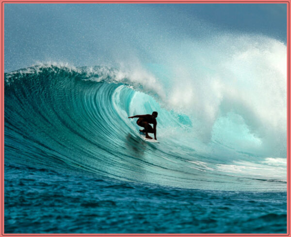 Ride the Wave Panel (C)