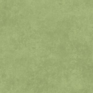 Shadow Play – Thyme (GS2)