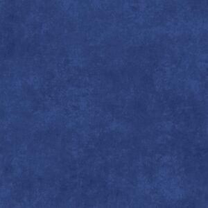 Shadow Play – Blue Knight (N31)