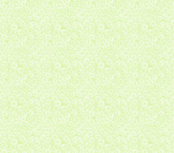 Indelible Soft – AMT1002-71C - Image 2