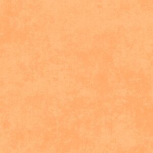 Shadow Play – Clementine (OS2)