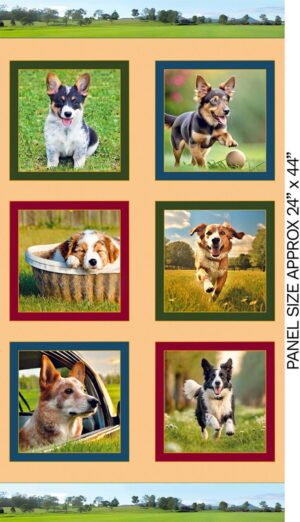 Puppies Panel