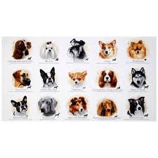 Dog Breeds Panel